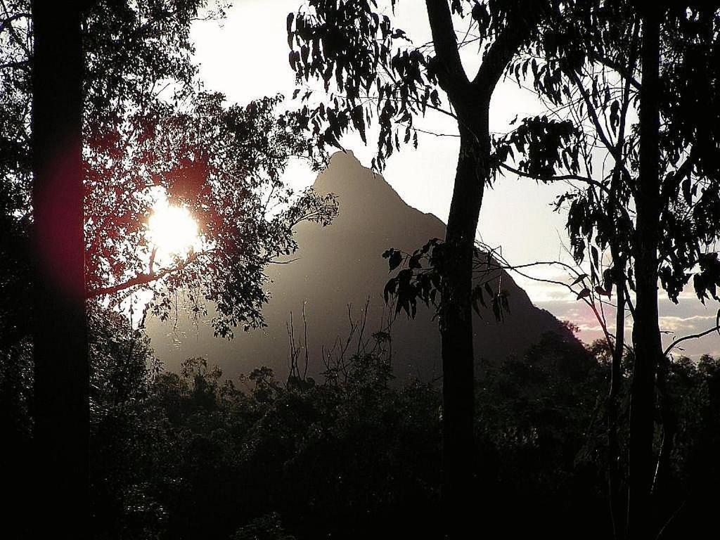 Glass House Mountains Ecolodge מראה חיצוני תמונה